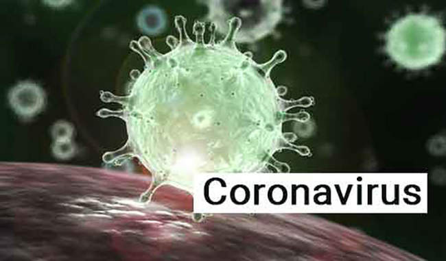india-and-state-governments-fight-together-with-corona-virus