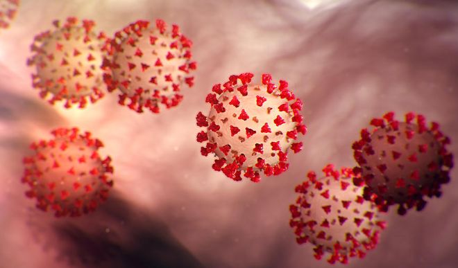 Coronavirus Coronavirus