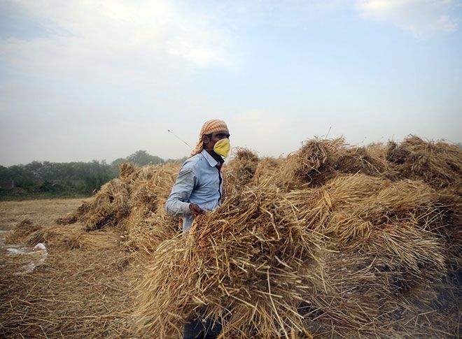 गेहूं की फसल काटते हुए अन्नदाता