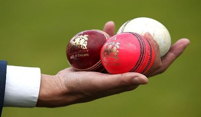 cricket ball