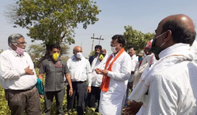 टिड्डी दल से नुकसान हुई फसलों के लिए किसानों को मुआवजा राशि देगी मध्य प्रदेश सरकार: मंत्री कमल पटेल