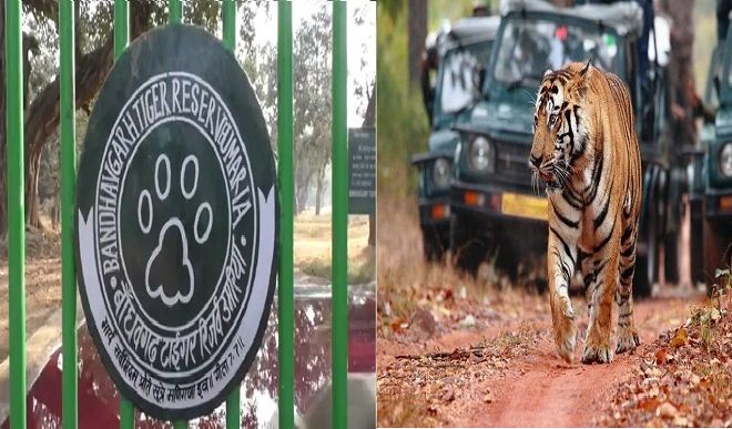 Bandhavgarh Tiger Reserve 
