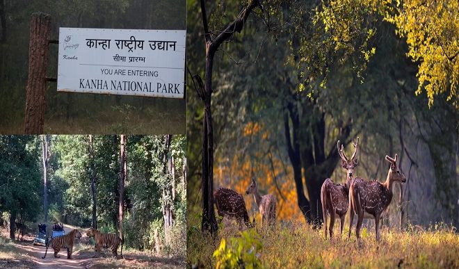 Kanha National Park 