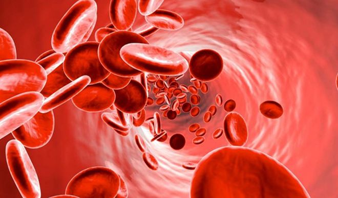 hemoglobin hemoglobin