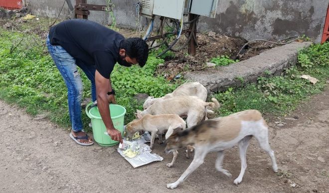 helpless animals helpless animals