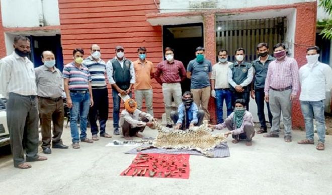 Three arrested with leopard skin Three arrested with leopard skin