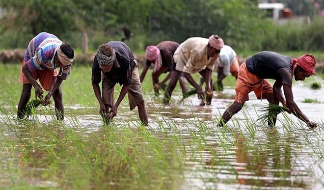 agriculture