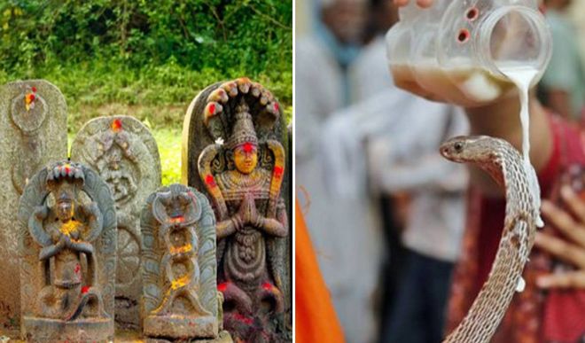 नाग पंचमी पर शिव जी तथा नाग देवता की पूजा से मिलता है विशेष फल
