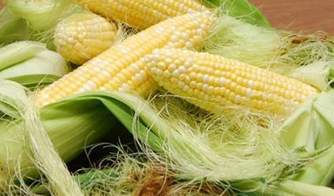 Corn husk