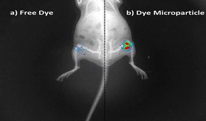 New breakthrough researchers