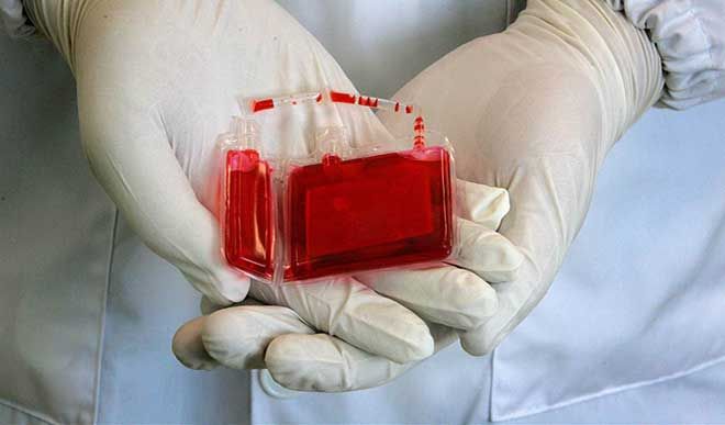 cord blood