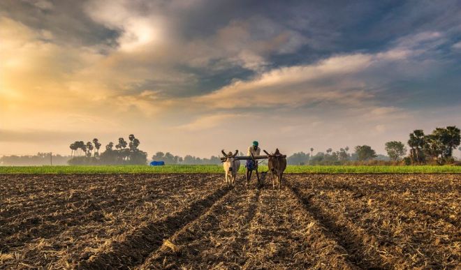 पानी बचाने वाली सिंचाई तकनीकों के बारे में किसानों को जागरूक करें कृषि वैज्ञानिक: प्रधानमंत्री नरेंद्र मोदी
