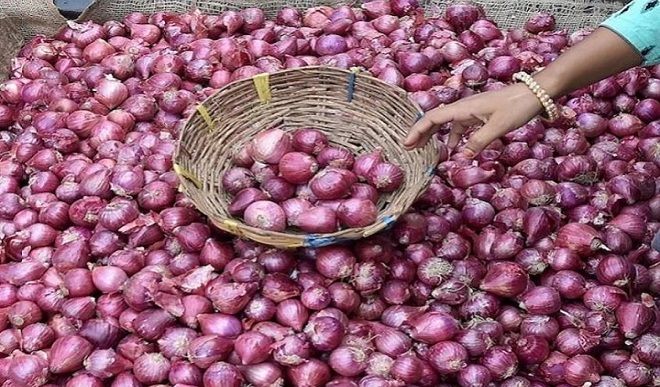 onions export
