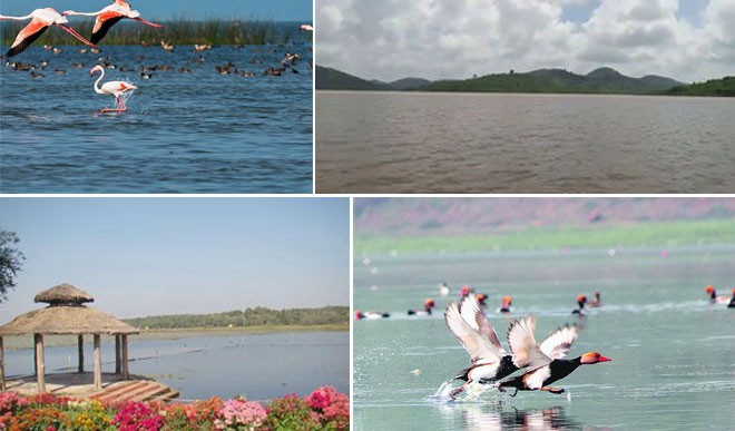 lakes Odisha