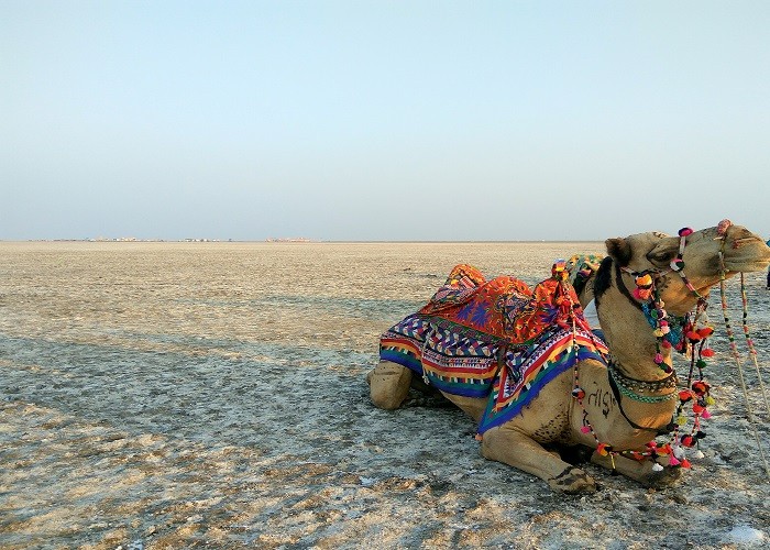 गुजरात घूमने जा रहे हैं तो कच्छ के इन प्रसिद्ध पर्यटन स्थलों पर जाना ना भूलें