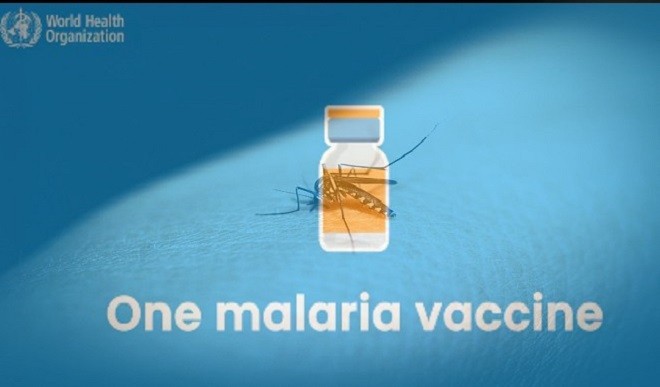 malaria 