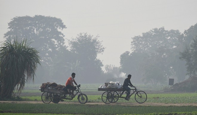 environment environment