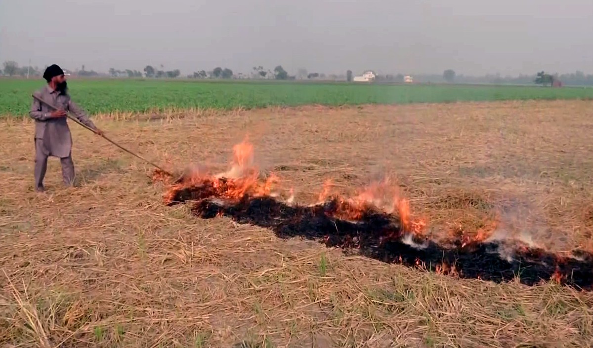 पंजाब में पराली जलाने की अब तक 67 हजार से अधिक घटनाएं दर्ज की गईं