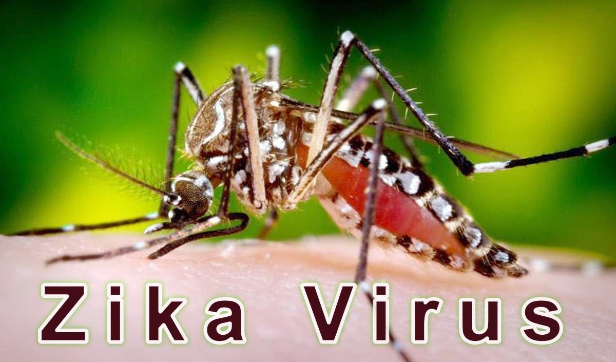 बहुत खतरनाक है जीका वायरस, इसके लक्षण और बचने के उपाय जानना बेहद जरूरी