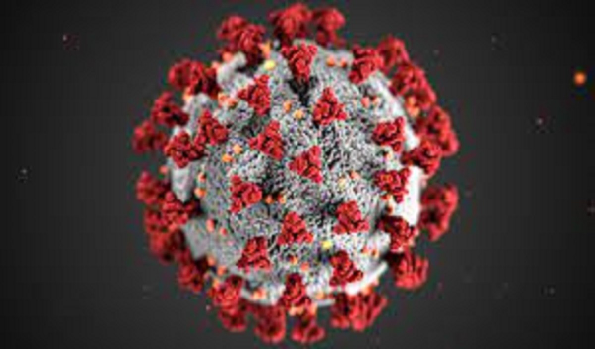दक्षिण अफ्रीका में कोरोना वायरस संक्रमण के मामले हुए दोगुने, टीकाकरण नहीं कराने वालों पर सरकार की सख्ती