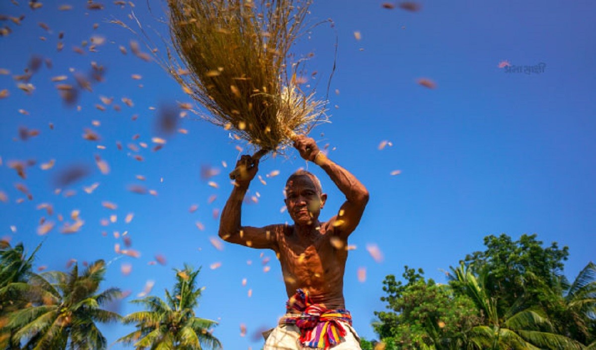 No complaint about procurement of paddy below MSP: Govt