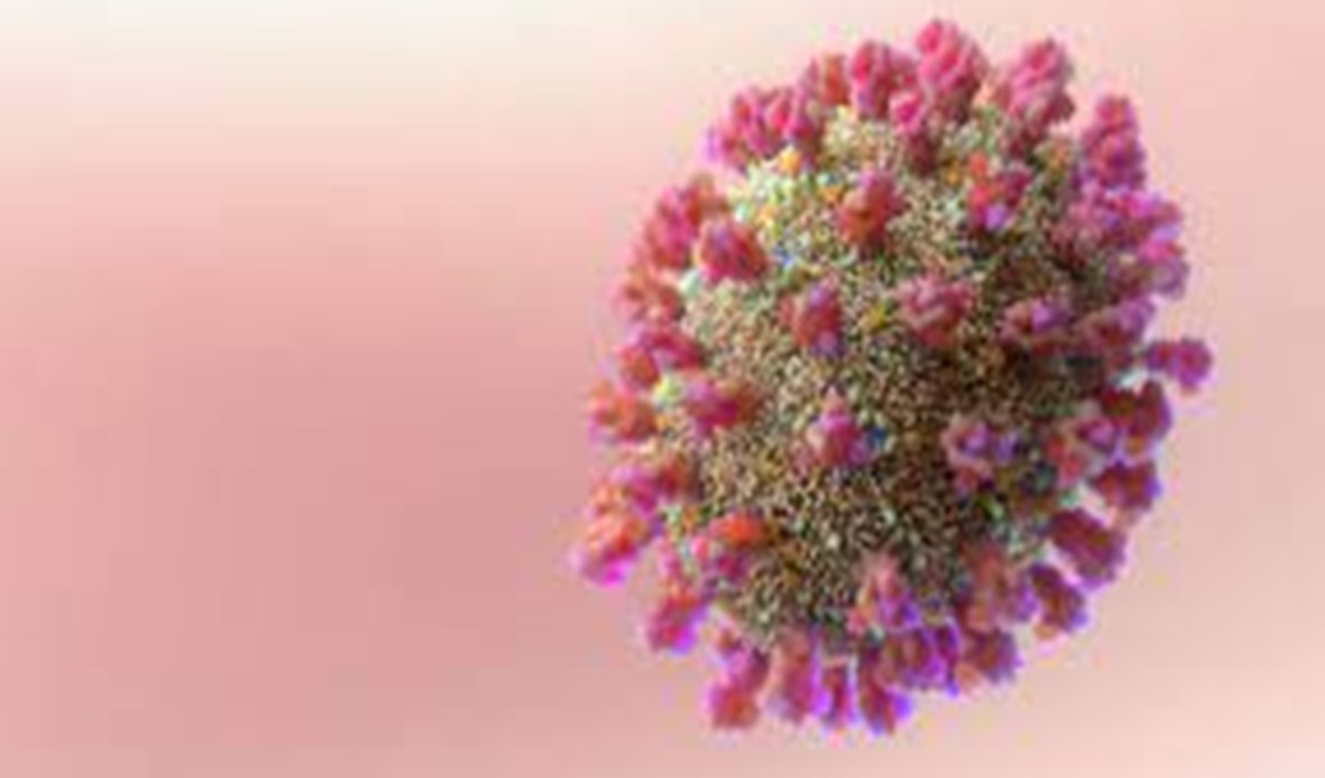 Omicron Cases Update Omicron Cases Update