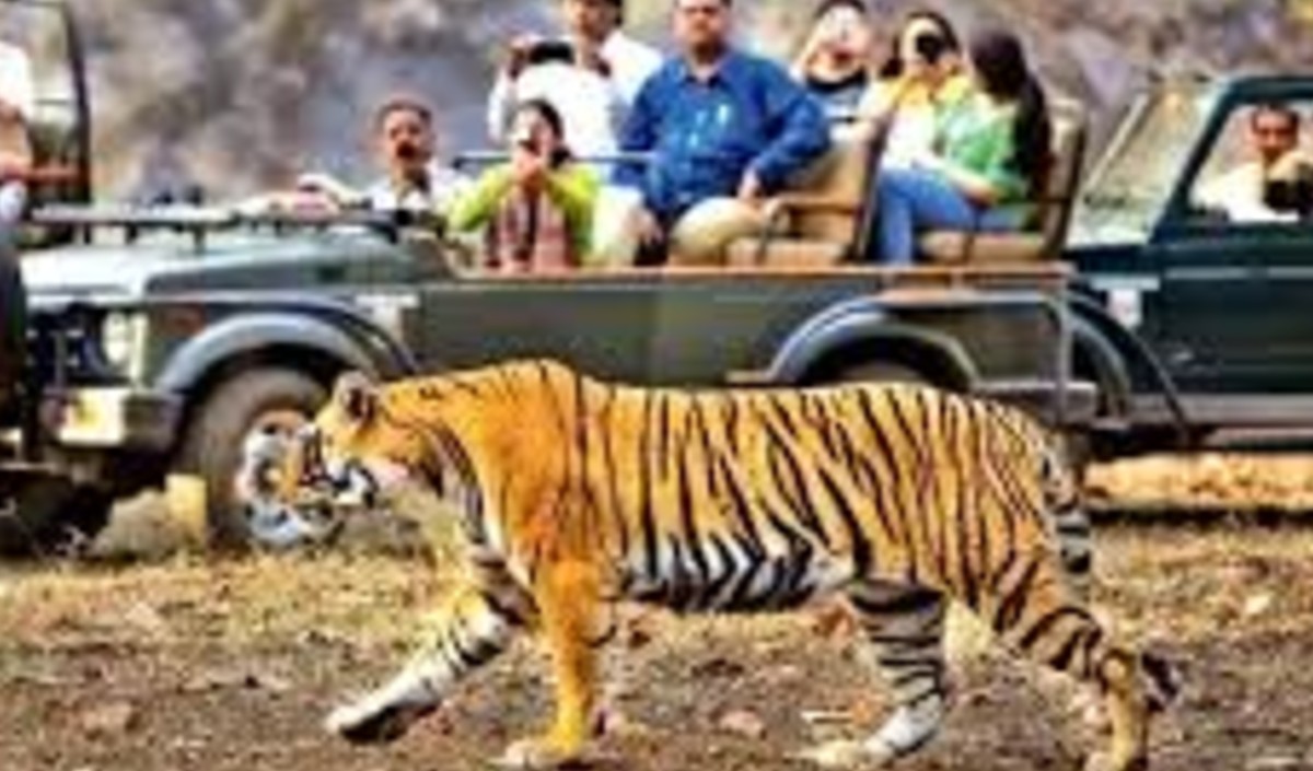 Tiger reserve in mp