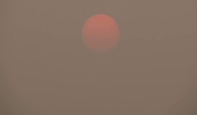Delhi Fog Delhi Fog