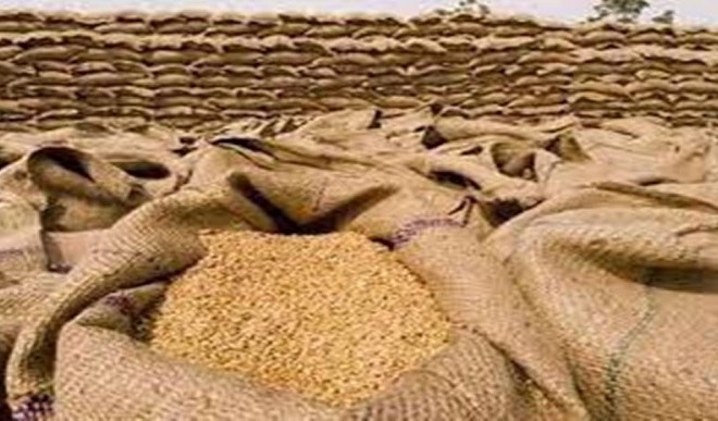 Wheat procurement started