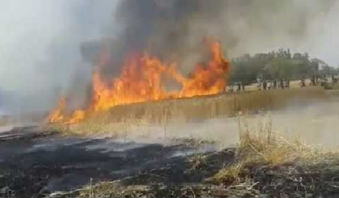 Continuation of fire in Madhya Pradesh