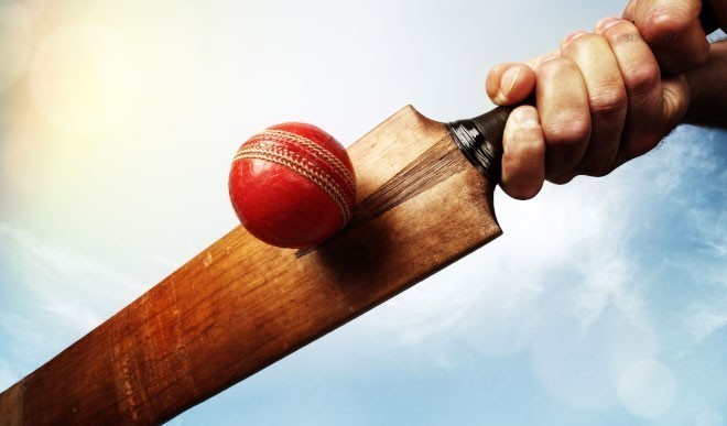 Inaugural Indo-U.S. online cricket tournament organised