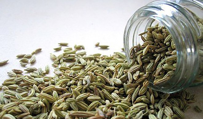 fennel syrup