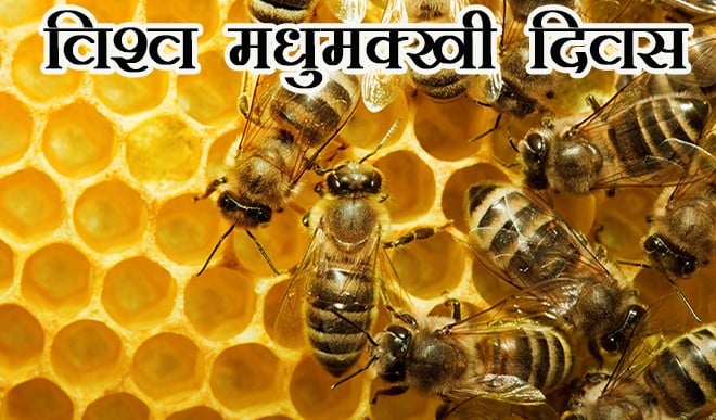 World Bee Day World Bee Day