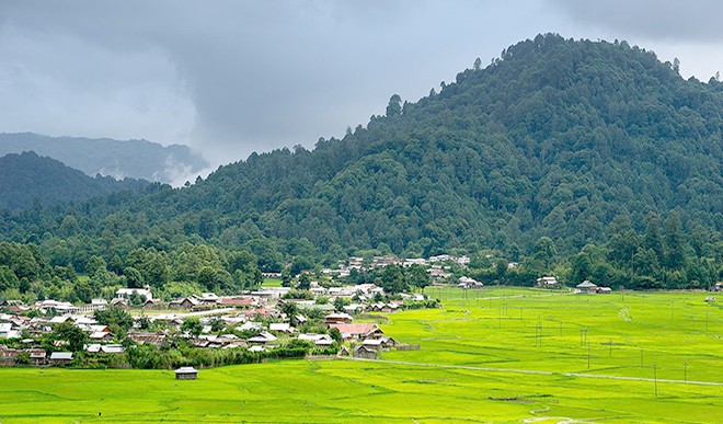 Ziro Valley