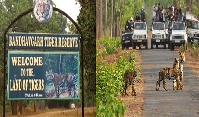  tiger reserve areas of Madhya Pradesh