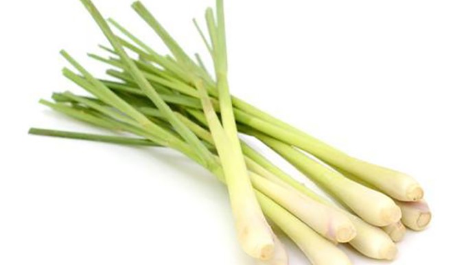 lemongrass