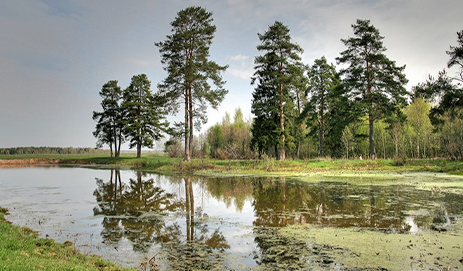 rivers ponds