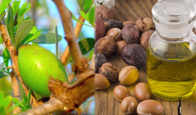 argan oil