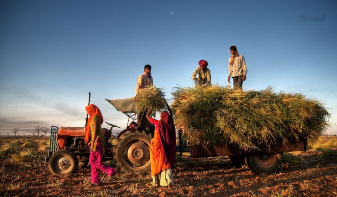 Nabard disbursed crop loan to over 71 lakh MP farmers