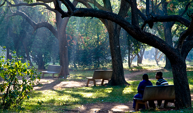 cubbon park bangalore