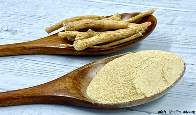 Ashwagandha