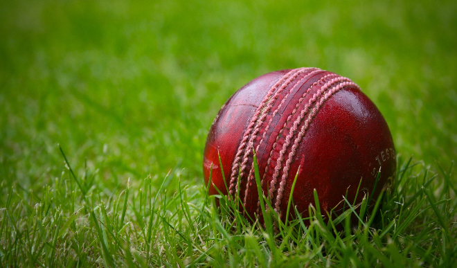  cricket lover entered in the field with a pad and helmet without permission then something happened