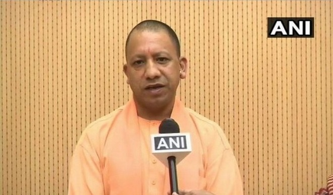yogi yogi