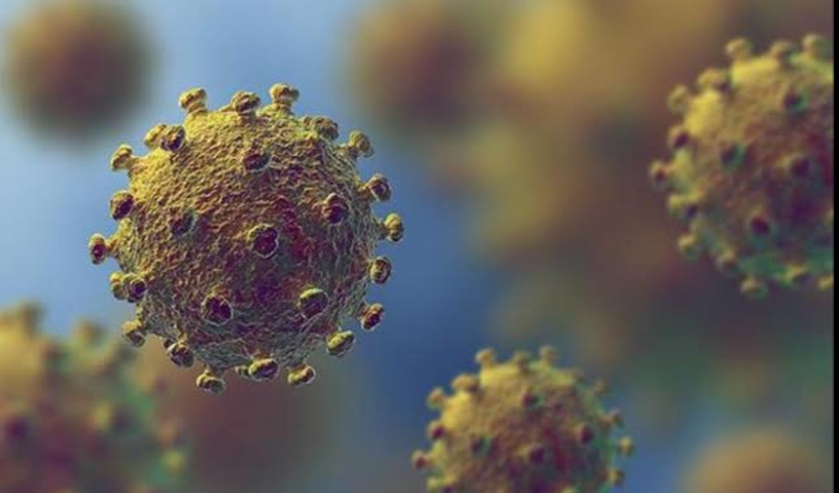 Corona in mp Corona in mp