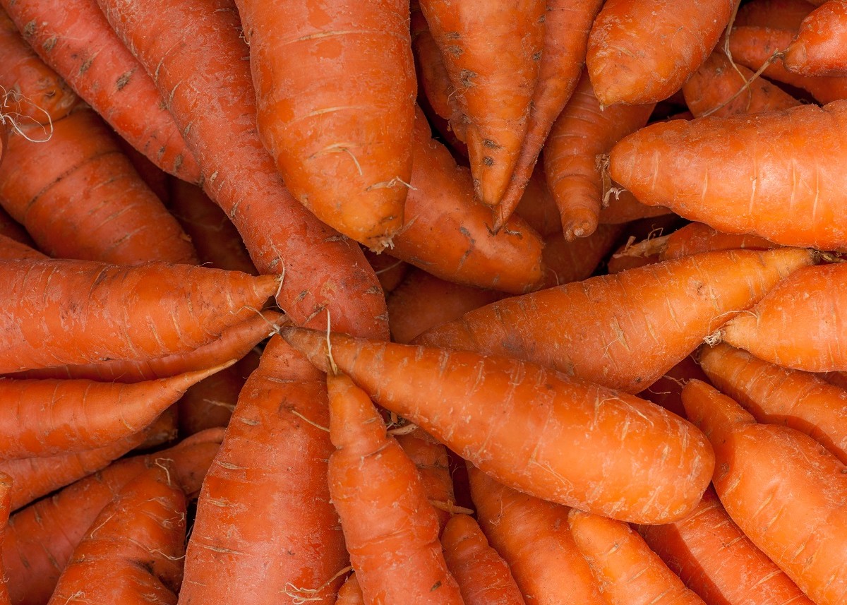 गाजर सेहत के लिए बहुत लाभकारी, आइये जानते है कैसे है गाजर सुपरफूड और क्या-क्या है इसके फायदे