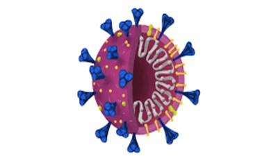 बिहार में कोरोना वायरस से संक्रमित 11 और लोगों की मौत, 4,063 नए मामले सामने आए