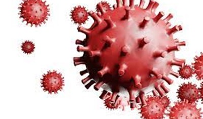महाराष्ट्र में सामने आये कोरोना वायरस संक्रमण के 24,948नए मामले
