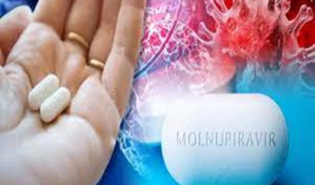 molnupiravir india