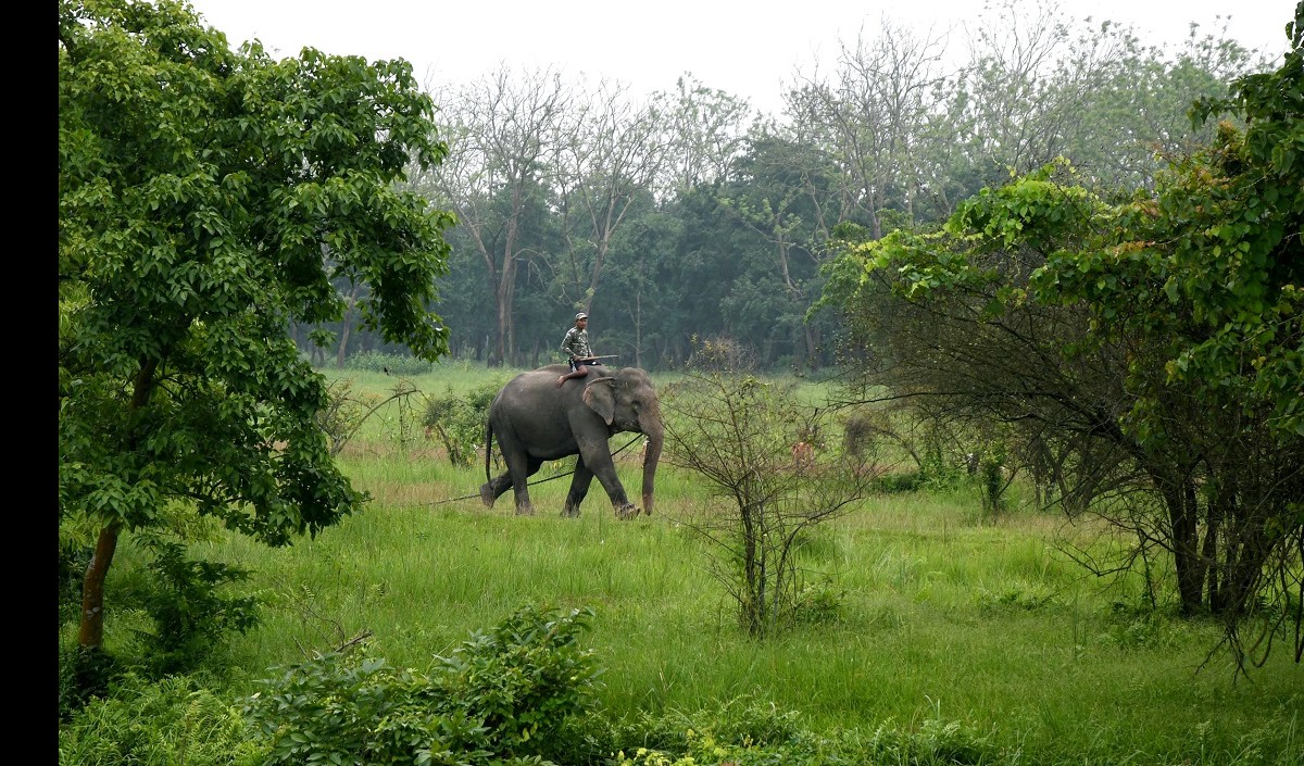 elephant sanctuary