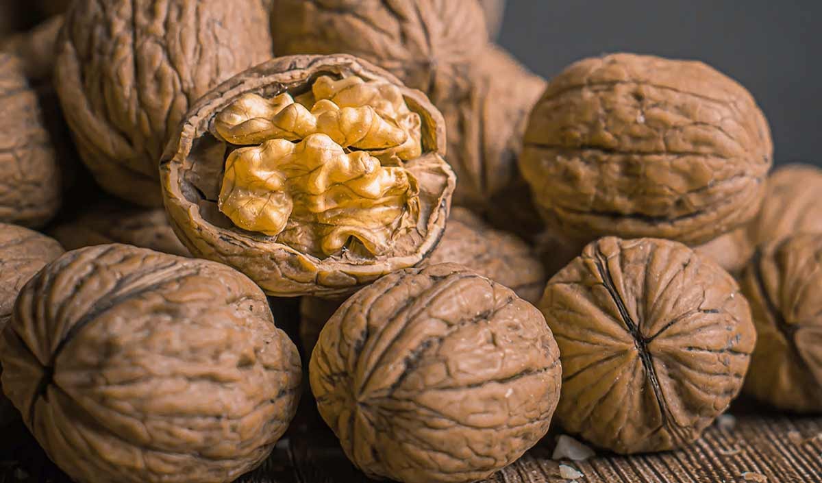 अखरोट खाने के कुछ फायदे हैं तो कुछ नुकसान, जानें कब और कैसे खाएं? - there  are some benefits of eating walnuts and some disadvantages